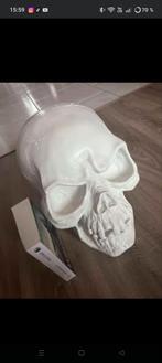 Crâne tirelire, Collections, Enlèvement, Comme neuf, Autres matériaux, Autres thèmes