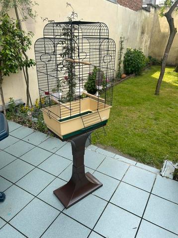 Vogelkooi met staander beschikbaar voor biedingen