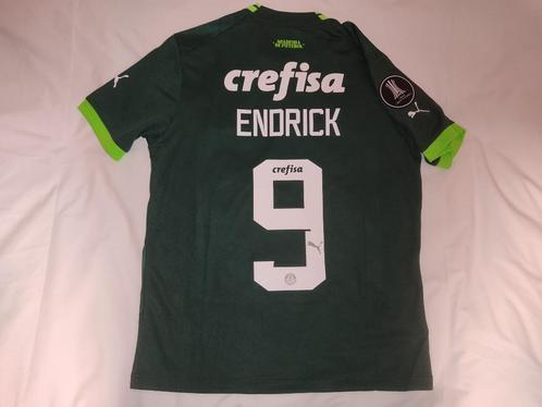 Palmeiras Thuis 23/24 Endrick Maat M, Sports & Fitness, Football, Neuf, Maillot, Taille M, Envoi
