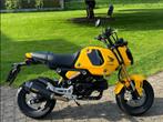 HONDA MSX125, Motos, Motos | Honda, 1 cylindre, Naked bike, Particulier, 125 cm³