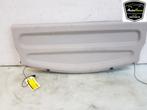 HOEDENPLANK Renault Zoé (AG) (|794203271R|), Auto-onderdelen, Gebruikt, Renault