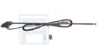 Antenne chroom raam/zijstijl 3 delen telescoop 46-126cm kabe, -, -, Nieuw, Ophalen of Verzenden