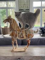 Britse korthaar kweekpoes, Dieren en Toebehoren, Katten en Kittens | Raskatten | Korthaar, Poes, Gechipt, 0 tot 2 jaar