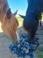 Adoptie paarden, Dieren en Toebehoren, Paarden, Gechipt, Springpaard, 160 tot 165 cm, 11 jaar of ouder