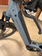 RIES & MULLER, Fietsen en Brommers, Elektrische fietsen, Zo goed als nieuw, 47 tot 51 cm, 50 km per accu of meer, Ophalen