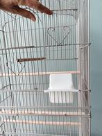 VOGELKOOI NIEUW, Ophalen of Verzenden, Vogelkooi