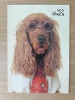 Retro postkaart Engelse Cocker Spaniel ALS NIEUW, Verzamelen, Postkaarten | Dieren, Ongelopen, Ophalen of Verzenden, Hond of Kat