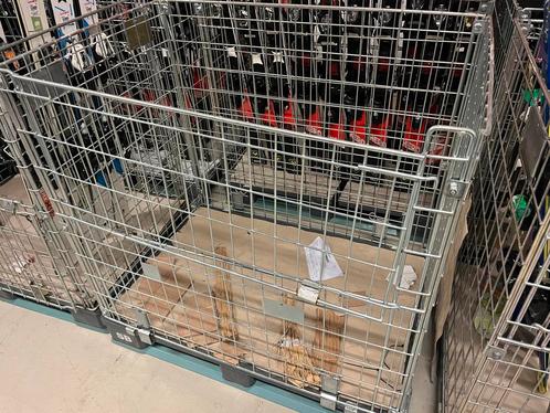 Gitterboxen/Gaascontainers/draadcontainer+ Kunststof pallet, Doe-het-zelf en Bouw, Kratten en Dozen, Gebruikt, Krat, 75 tot 100 cm