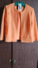 Vestje (nieuw), Kleding | Dames, Nieuw, Oranje, Ophalen of Verzenden, Maat 34 (XS) of kleiner