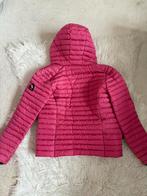 Superdry Core Dames Donsjas, Superdry, Nieuw, Ophalen of Verzenden, Roze