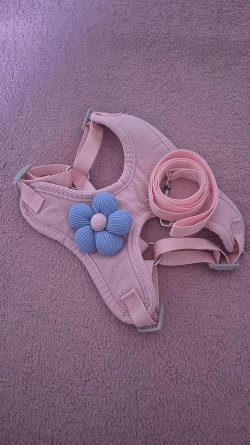 À vendre arnais avec laisse pour chiens, Dieren en Toebehoren, Honden-accessoires, Nieuw, Ophalen
