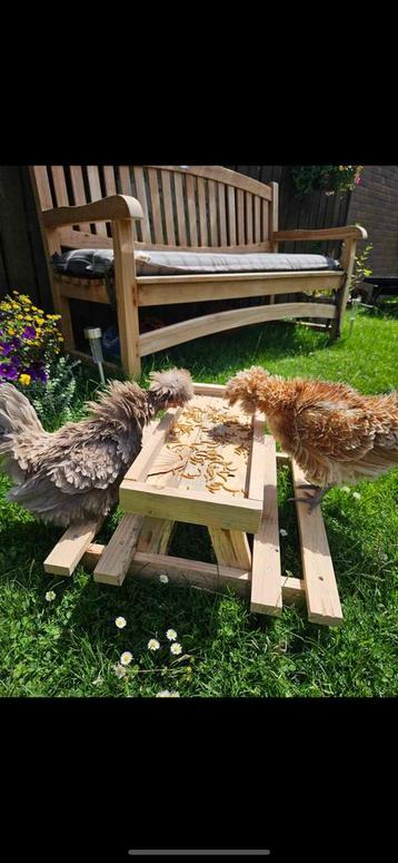 Chicknicktafel voeder kippen tafel beschikbaar voor biedingen