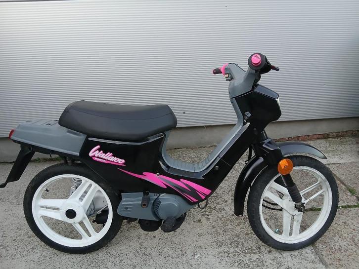 Mooie wallaroo te koop, Fietsen en Brommers, Brommeronderdelen | Algemeen, Gebruikt, Overige typen, Ophalen
