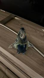 Pinguïn, Antiek en Kunst, Ophalen