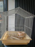 Vogelkooi met accesoires, Ophalen, Vogelkooi