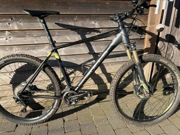 MTB Bulls  beschikbaar voor biedingen