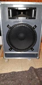 Vends hauts parleurs sono, Musique & Instruments, Enlèvement, Utilisé, Moins de 500 watts, Sono