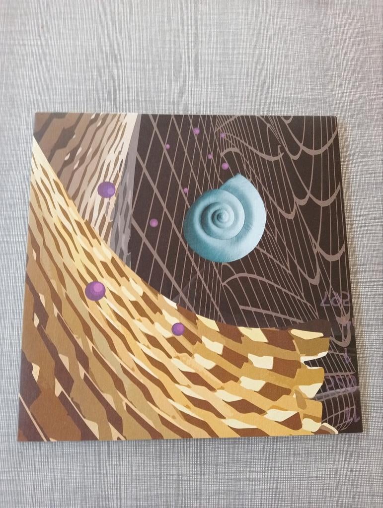 Zen Paradox 12" Ammonoidea EP 4-tracks 2020 mint, Ophalen of Verzenden, Zo goed als nieuw, 12 inch, Techno of Trance