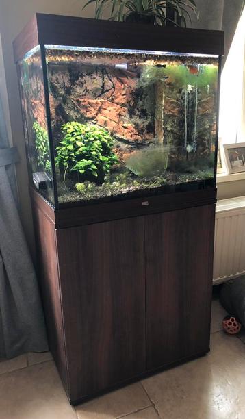 Aquarium Juwel met vissen beschikbaar voor biedingen