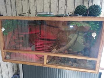 Terrarium aménagé 120/60/60, Enlèvement, Utilisé, Terrarium ou Paludarium