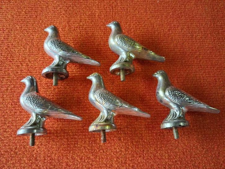 duiven, Dieren en Toebehoren, Vogels | Duiven, Overige soorten