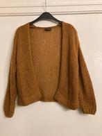 Bruine openhangende gilet - JBC Nachtwacht - maat 146, Kinderen en Baby's, Gebruikt, Meisje, Trui of Vest, Ophalen of Verzenden