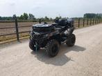 Quad CF 1000 cc.