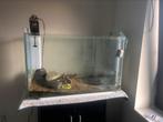 Fish 110, Dieren en Toebehoren, Ophalen