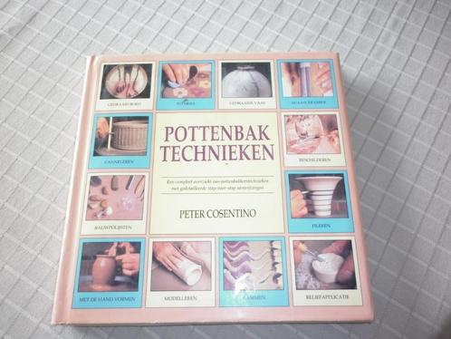 Pottenbaktechnieken - Peter Cosentino, Livres, Loisirs & Temps libre, Enlèvement ou Envoi