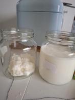 Levende melk kefir korrels, Ophalen of Verzenden