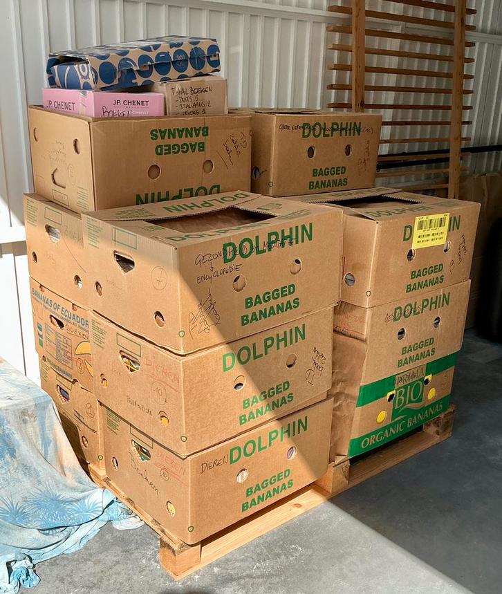 Groot lot boeken, Boeken, Stock en Verzamelingen, Zo goed als nieuw, Verschillende onderwerpen, Ophalen