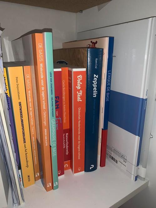 Bachelor lager onderwijs cursussen vives, Boeken, Studieboeken en Cursussen, Zo goed als nieuw, Ophalen