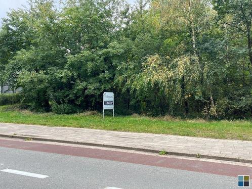 Grond te koop in Lommel, Immo, Terrains & Terrains à bâtir, 1500 m² ou plus