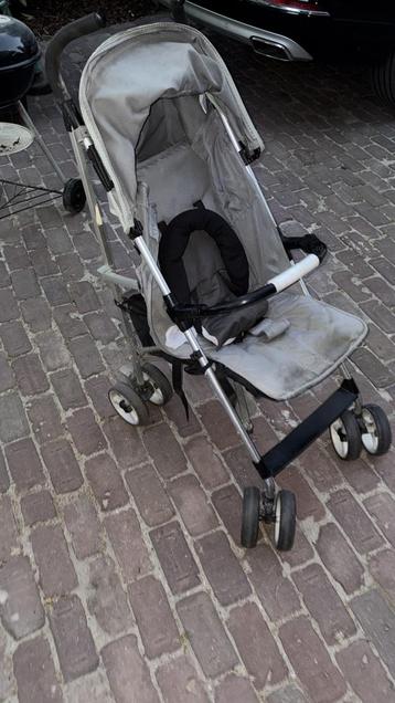 Noukie’s beschikbaar voor biedingen