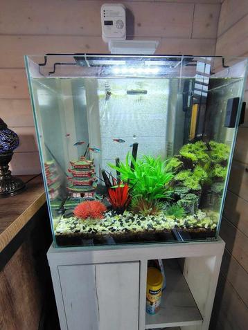  aquarium nano zolux avec meuble gris cérusé  beschikbaar voor biedingen