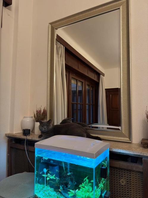 Stijlvolle zilverkleurige grote wandspiegel., Huis en Inrichting, Woonaccessoires | Wanddecoraties, Ophalen