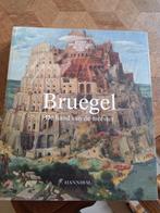 kunstboek Breugel de hand van de meester, Boeken, Nieuw, Ophalen, Schilder- en Tekenkunst