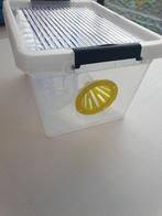 Sélectif pour le frelon asiatique, Animaux & Accessoires, Enlèvement, Neuf