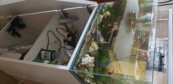 Aquarium beschikbaar voor biedingen