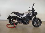 Benelli Leoncino 500, Motos, Entreprise, Plus de 35 kW, 2 cylindres, 500 cm³