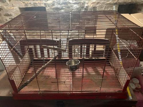 Grande cage à oiseaux rouge – 75 x 50 x 40 cm, Dieren en Toebehoren, Vogels | Hokken en Kooien, Gebruikt, Vogelkooi, Hout, Ophalen