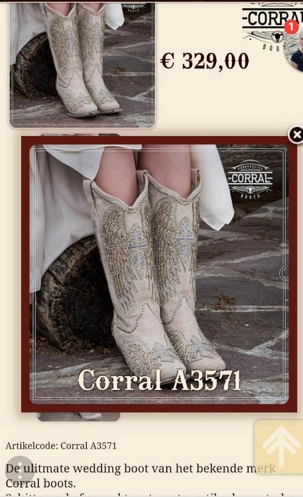 Bottes western taille 8 (38), Vêtements | Femmes, Chaussures, Enlèvement ou Envoi