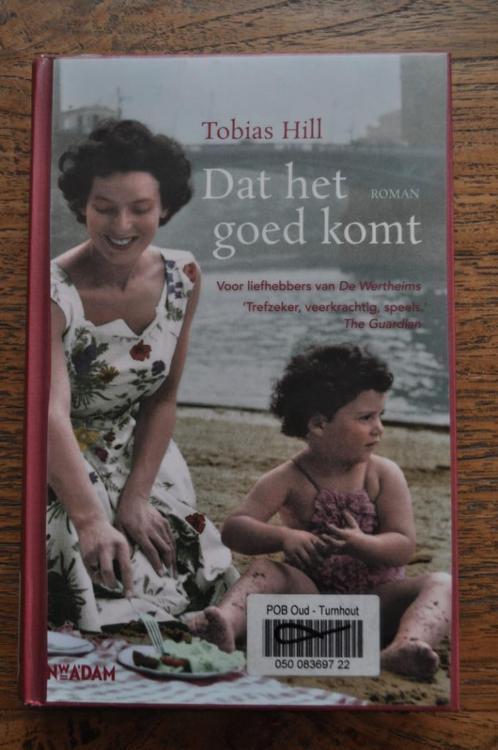 Dat het goed komt, Boeken, Romans, Zo goed als nieuw, Europa overig, Ophalen of Verzenden