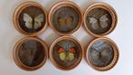 Elegante onderzetters met mooie vlindermotieven (6), Glas of Kopje, Gebruikt, Ophalen