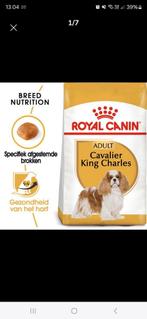 Hondenvoeding royal canin voor cavalier king charles, Dieren en Toebehoren, Ophalen