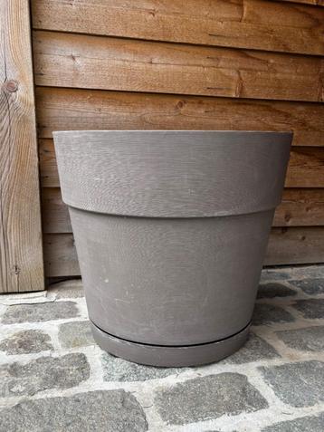 Grote bloempot met waterreservoir Deroma rond 54 L - taupe beschikbaar voor biedingen