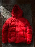 Jas van Calvin Klein, Ophalen of Verzenden, Gedragen, Rood