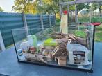 Hamsterkooi + Accessoires, Gebruikt, Hamster, Minder dan 75 cm, Hok