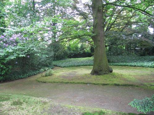 Hovenier, Noord Antwerpen, Diensten en Vakmensen, Tuinmannen en Stratenmakers, Tuinonderhoud of Snoeiwerk, Tuinontwerp