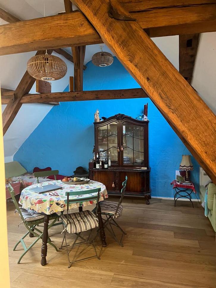 Appartement 1 chambre avec terrasse au centre de Malines, Immo, Appartementen en Studio's te huur, Mechelen, 20 tot 35 m²